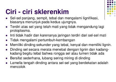 pengertian-jaringan-sklerenkim-3421114