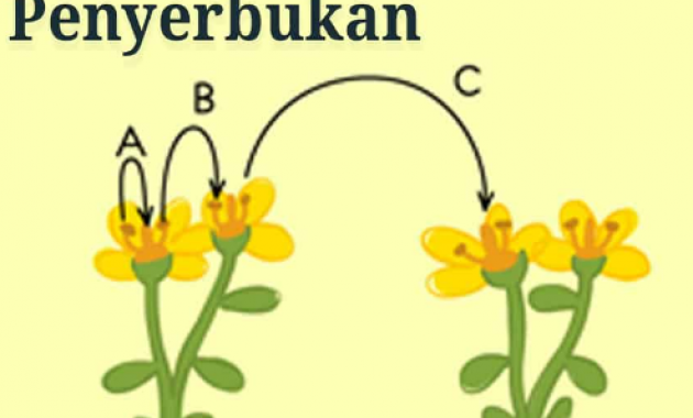 penyerbukan-sendiri-630x380-6832665