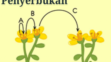penyerbukan-sendiri-630x380-9805030-7391883-png