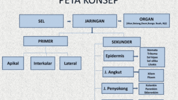 peta-konsep-jaringan-tumbuhan-6308987-6661345-png