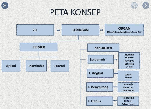 peta-konsep-jaringan-tumbuhan-6308987-6661345-png