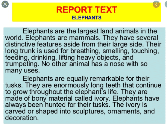 repot-rek-8268652-1960347-png