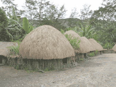 rumah-papua-5014810