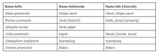 tanaman-yang-potensial-untuk-bahan-baku-biodiesel-2633692
