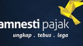tek-amnesty-630x380-9284094-1236909-png