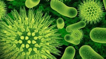 %e2%88%9a-pengertian-mikrobiologi-dalam-biologi-dan-faktor-beserta-mekanismenya-8162353-9221433-jpg