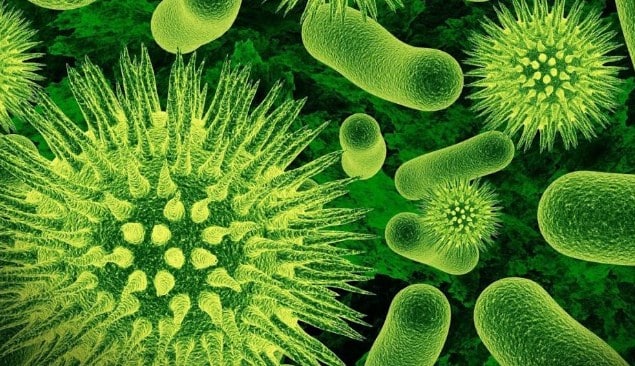 %e2%88%9a-pengertian-mikrobiologi-dalam-biologi-dan-faktor-beserta-mekanismenya-8162353-9221433-jpg