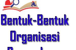bentuk-bentuk-organisasi-perusahaan-300x277-5370170-7645657-jpg