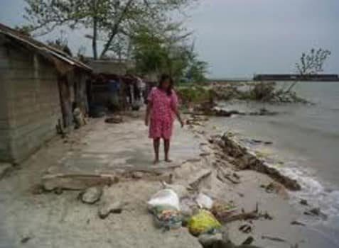 dampak-abrasi-terhadap-lingkungan-dan-kehidupan-5483944