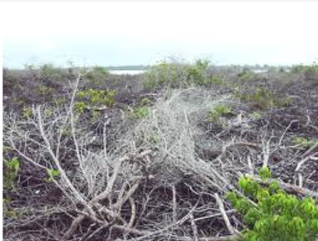 penyebab-abrasi-7787899