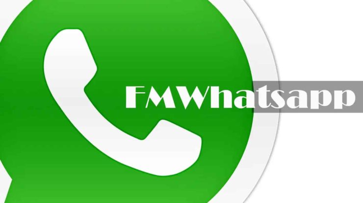 perbandingan-fmwhatsapp-dengan-whatsapp-1525212-2327133-jpg