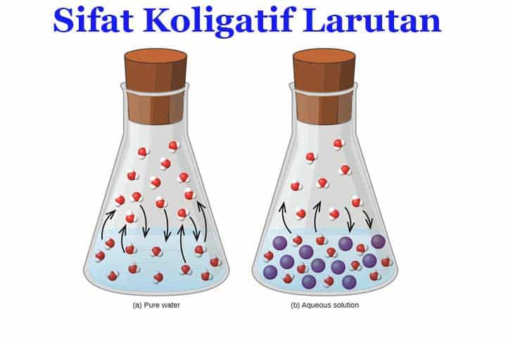 sifat-koligatif-larutan-6458874