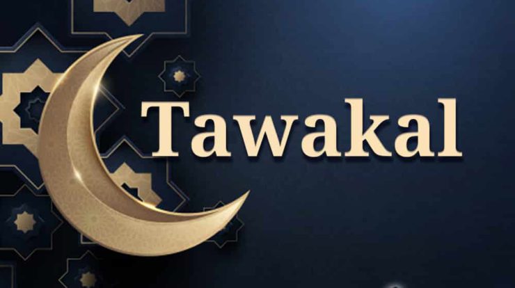 tawakal-7063424-8300289-jpg