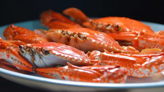 kepiting-1763940