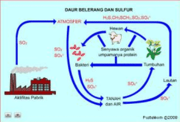 3-daur-belerang-5985699