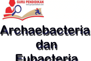 archaebacteria-dan-eubacteria-300x228-3090675-4813515-png