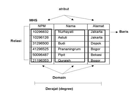 atribut-grafik-4363605