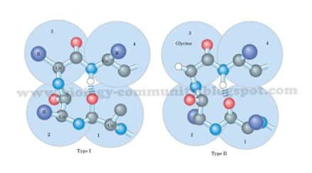 bentuk-konformasi-4702974