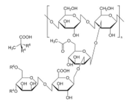 biogum-dan-gum-xanthan-1679213