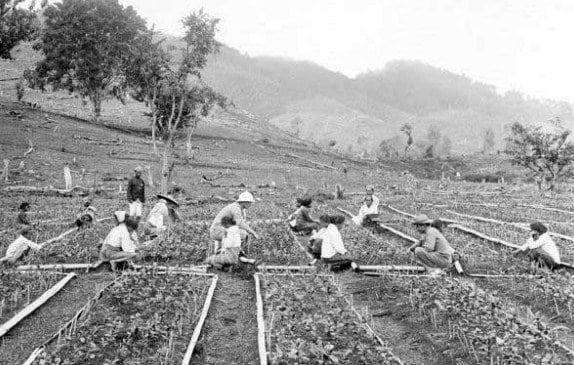 e2889a-pengertian-kehidupan-sosial-ekonomi-serta-faktor-kondisi-dan-strukturnya-8683766