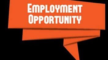 employment-opportunity-5684623-7404093-jpg