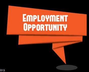 employment-opportunity-5684623-7404093-jpg