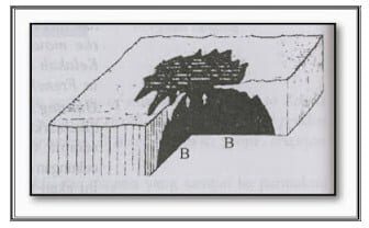 erupsi-areal-8439056