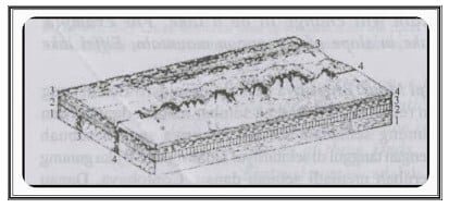 erupsi-linear-6862914