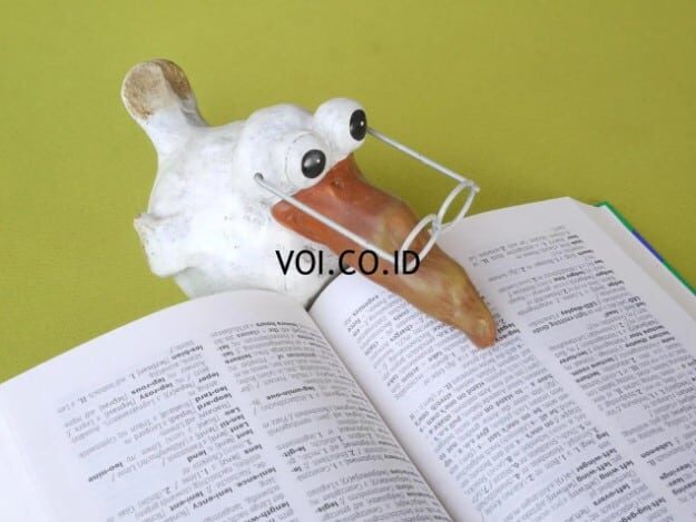 jenis-jenis-paragraf-berdasarkan-fungsi-4649829