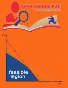 linear-programing-231x300-2667111-2496630-jpg