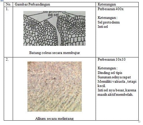 metodologi-penelitian-7250411