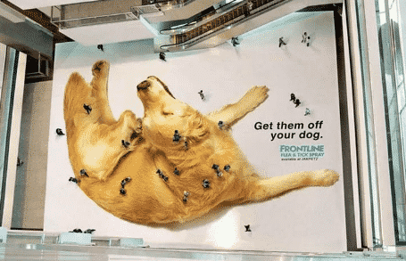 menggunakan-lingkungan-anda-memberikan-visual-8919262