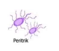 methano-bacterium-1533876