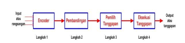 model-pengolahan-informasi-pada-manusia-2557137