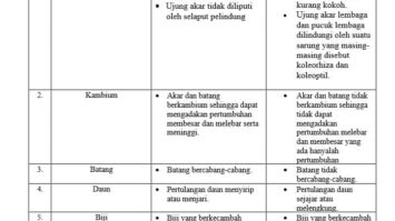 perbedaan-monokotil-dan-dikotil-5773022-2563384-jpg