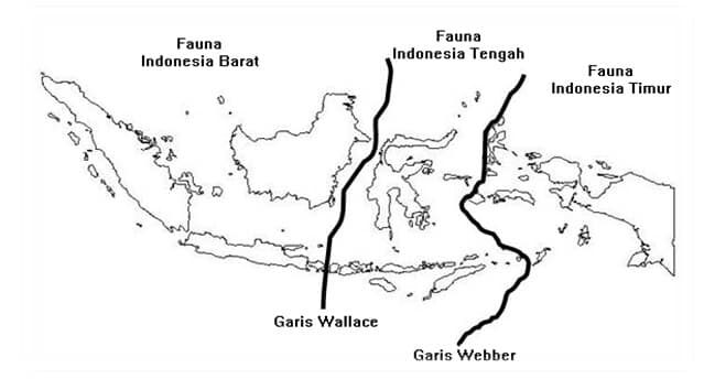 persebaran-flora-dan-fauna-di-indonesia-3282908