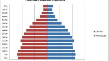 piramida-penduduk-pengertian-manfaat-fungsi-dan-bentuk-beserta-cirinya-secara-lengkap-8963539-7211475-jpg
