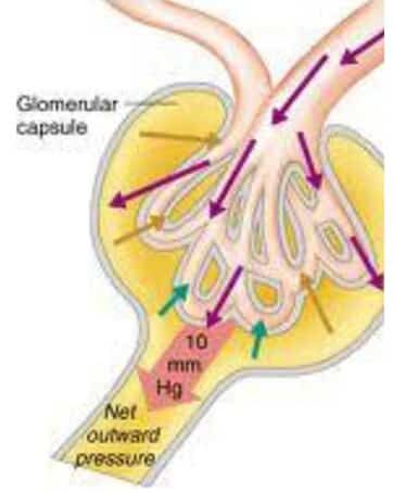 proses-filtrasi-9391363