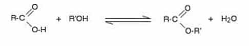 reaksi-esterfikasi-9086999