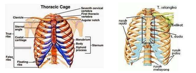 screenshot_24-7760072