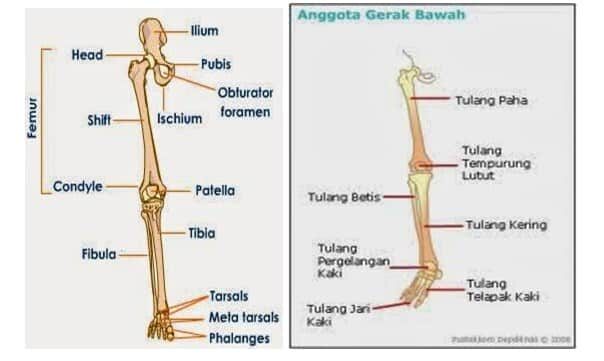 screenshot_28-8913297