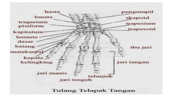 screenshot_30-4134789