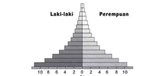 screenshot_31-5652847