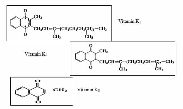 struktur-kimia-klasifikasi-vitamin-k-1389706