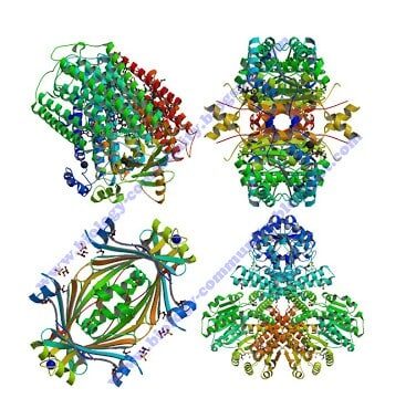 struktur-kuartener-8897416