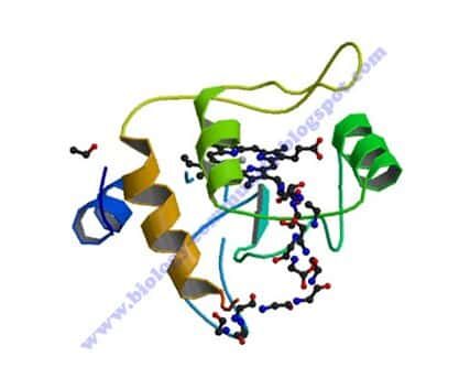 struktur-tersier-1040467