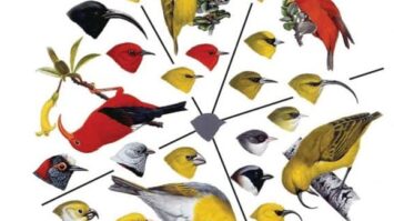 adaptasi-8518323-3635253-jpg