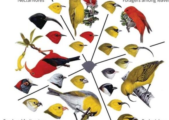 adaptasi-8518323-3635253-jpg