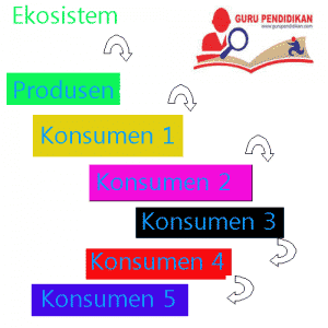 ekosistem-300x300-5863349