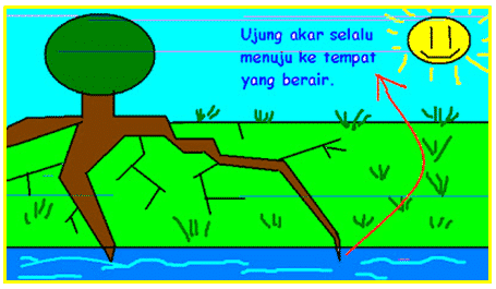 gerak-pucuk-batang-8350743